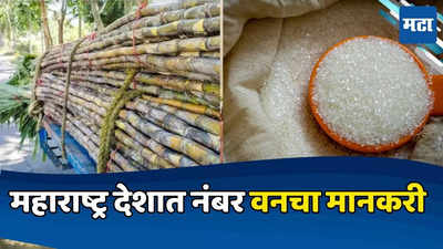 Maharashtra Number One: साखर उत्पादनात महाराष्ट्र नंबर वन, उत्तर प्रदेशालाही टाकले मागे; उत्पादन घटेल हा अंदाज खोटा ठरला