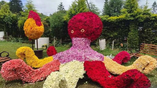 Yercaud Flower Show,ஏற்காடு மலர் கண்காட்சி... குவியும் சுற்றுலா பயணிகள்! - tourists throng yercaud summer festival flower show - Samayam Tamil