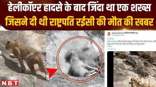 rajasthan panther video panther caught sambhar made it a morsel forest minister captured live hunting in video