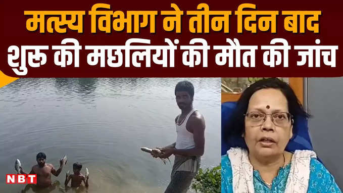 मुजफ्फरपुर: सिकंदरपुर मन झील में कैसे हुई मछलियों की मौत? तीन दिन बाद एक्टिव हुआ मत्स्य विभाग, जांच शुरू
