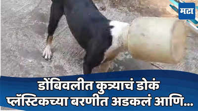 Dombivli Dog : पाणी प्यायला तोंड घातलं, डोंबिवलीत कुत्र्याचं डोकं प्लॅस्टिकच्या बरणीत अडकलं, तीन तास जीवाची तडफड अन्...