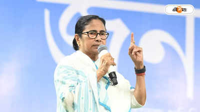 Mamata Banerjee : তৃণমূল খণ্ড-বিখণ্ড! শাহি তোপের পালটা জবাব মমতার