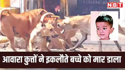 लाखों खर्च करने के बाद मिला था बेटा, आवारा कुत्तों ने छीन ली खुशी, नागपुर में दर्दनाक घटना