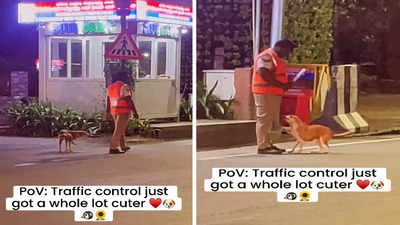 Viral: ट्रैफिक को कंट्रोल करने में पुलिस को मिला इस बेजुबान का साथ, क्यूट सी बॉन्डिंग को देखकर इंटरनेट ने भी बरसाया प्यार