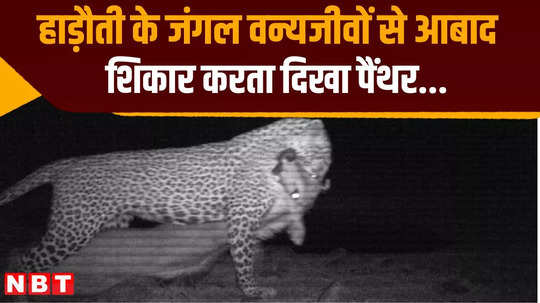 wildlife census completed in hadoti rajasthan know latest information