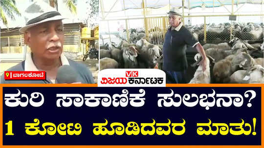 a farmer of bagalkot district is earning lakhs per month by rearing sheep