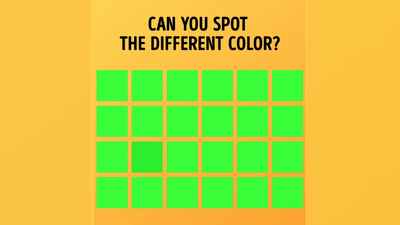 हिरव्या रंगामध्ये लपलाय वेगळ्या रंगाचा चौकोन, जर तुमची नजर तिक्ष्ण असेल तर शोधून दाखवा