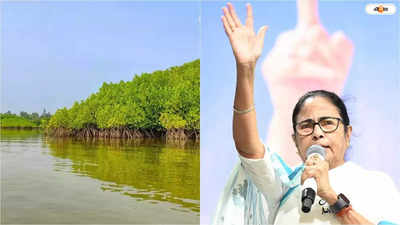 Mamata Banerjee: সুন্দরবন মাস্টার প্ল্যানের ঘোষণা মমতার