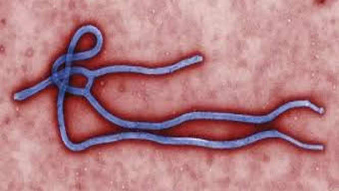 इबोला की रोकथाम के लिए हो रही ये रिसर्च