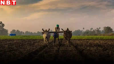 MP News: खरीफ के मौसम में फसल की नो टेंशन, किसानों को मिलेगा भरपूर उर्वरक, CM मोहन यादव ने की समीक्षा बैठक