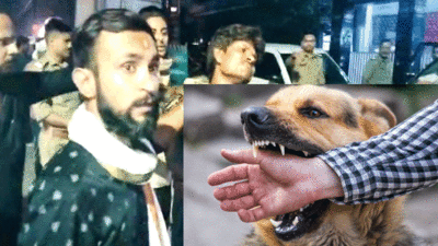 Kanpur Dog Attack: खौफनाक! आवारा कुत्तों के झुंड ने बच्ची को नोंच कर मार डाला, भाई की हालत गंभीर