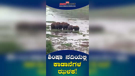 wild elephants enters maddur hole anjaneya temple backside shimsha river farmers on alert