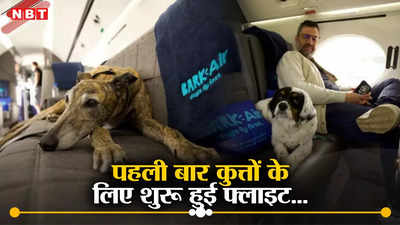 कुत्ते भी करेंगे हवाई जहाज की सवारी, शुरू हुई दुनिया की पहली लग्जरी डॉग एयरलाइन, जानें कितना है टिकट
