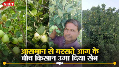 भीषण गर्मी के बीच एमपी में पेड़ पर लदे सेब के फल, 12वीं पास किसान ने तोड़ दिया ठंड वाला मिथक
