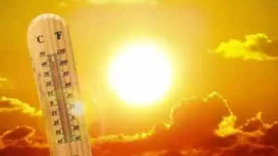 MP Weather: मध्य प्रदेश में आग बनकर बरस रही धूप, भीषण गर्मी को लेकर मौसम विभाग का अलर्ट