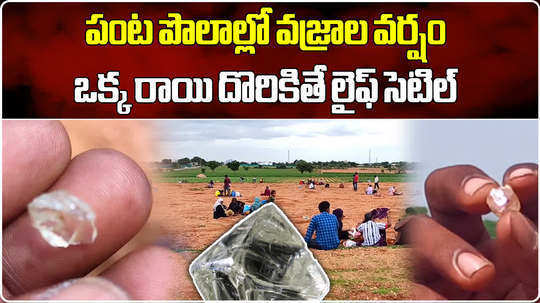 diamonds found in agricultural land near tuggali kurnool district