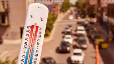 MP Weather News: ऐसी गर्मी कि धूप में पक जाए खाना! एमपी के पृथ्वीपुर में पारा पहुंचा 48.7 डिग्री सेल्सियस, जान लीजिए मौसम विभाग का अलर्ट