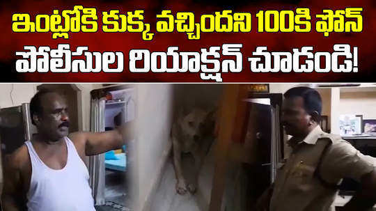 telangana man dials 100 to call police to catch street dog which entered in his house