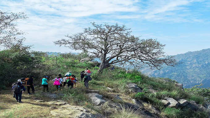 ​கொண்டை ஊசி வளைவு