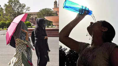 पारा@49 डिग्री... दिल्ली की गर्मी, डरा रहा हीट इंडेक्स और ह्यूमिडिटी का कनेक्शन