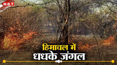 भीषण गर्मी से शिमला और हमीरपुर के जंगलों में लगी आग, सरकारी इमारतों तक पहुंची लपटें, मची अफरा-तफरी