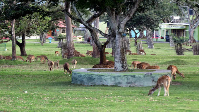 ​தமிழகத்தின் மூன்றாவது பெரிய அணை