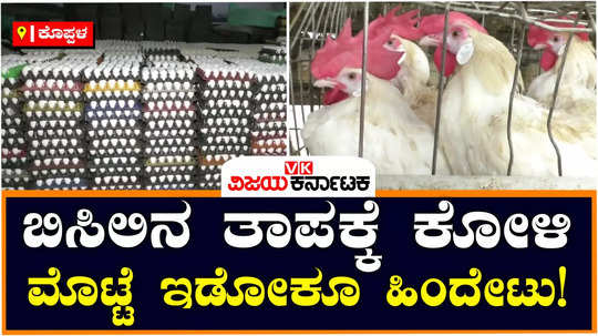 koppal poultry farming in summer effect of temperature rise heat wave eggs production reduces profitability