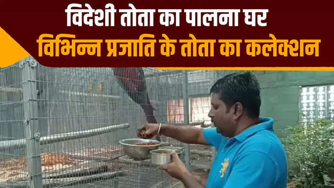मुजफ्फरपुर में सुजीत के पास दर्जनों विदेशी तोता का कलेक्शन, लोग दूर-दूर से आते हैं देखने