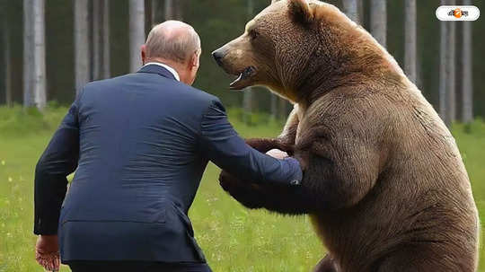 Vladimir Putin: ভালুকের হামলা থেকে বাঁচানো বডিগার্ডই পুতিনের উত্তরসূরি?