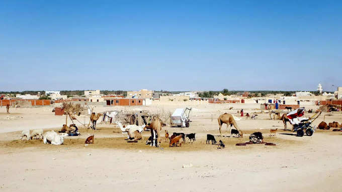 ट्यूनीशिया का केबिली गांव
