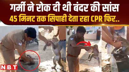 policeman becomes angel for monkey in bulandshahr