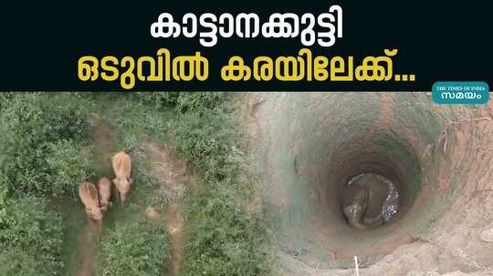 in nilgiri a border district of wayanad wild elephant fell into a deep well