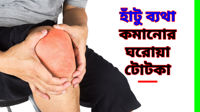 Knee Pain Remedies: পেইনকিলার ছাড়াই কমবে হাঁটু ব্যথা! শুধু এসব ঘরোয়া টোটকার শরণাপন্ন হন