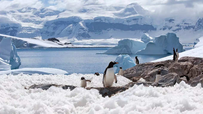 अंटार्कटिका कैसे पहुंचें 