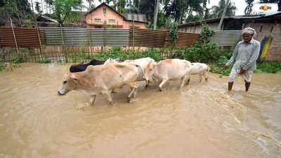 Flood In Bangladesh : বন্যায় বিপর্যস্ত সিলেট, জলবন্দি ৫ লাখের বেশি মানুষ