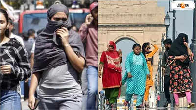 Heatwave In Nagpur: উত্তর ভারতকে টেক্কা পশ্চিমের, ৫৬ ডিগ্রি তাপমাত্রায় নাগপুরের হাওয়া গরম