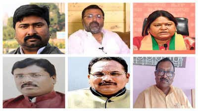 Jharkhand Lok Sabha Elections: संताल की 3 सीटों पर बाजी किसके हाथ, JMM का किला बचेगा या BJP बनाएगी रिकॉर्ड