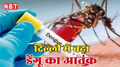 सावधान! दिल्ली में बढ़े डेंगू के मरीज, मई में सामने आए 50 केस