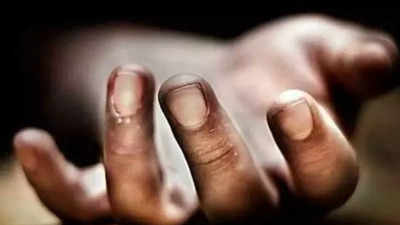 फिरोजाबाद में यूपी रोडवेज की बस की ऑटो से टक्कर, 5 लोगों की मौत, 6 घायल