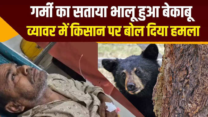 गर्मी में भालू भी तपा, खेत में काम करते किसान पर बोला हमला, देखें वीडियो