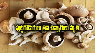 Mushrooms: పుట్టగొడుగులు తిని ముగ్గురు చిన్నారులు మృతి.. కుటుంబంలో 9 మందికి అస్వస్థత