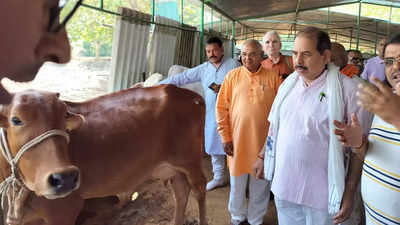 लखनऊ: गो प्रोडक्ट गायों की सेवा के साथ रोजगार भी, बैठक में दिया गया प्रशिक्षण