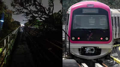 Namma Metro: ಅಬ್ಬರದ ಮಳೆಗೆ ಬೆಂಗಳೂರು ಮೆಟ್ರೋ ಟ್ರ್ಯಾಕ್‌ ಮೇಲೆ ಬಿದ್ದ ಮರ! ಕೆಲ ನಿಲ್ದಾಣಗಳ ನಡುವೆ ರೈಲು ಸಂಚಾರ ಬಂದ್‌