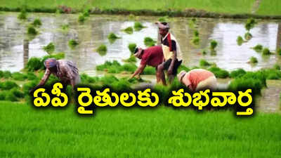 Andhra Pradesh: ఏపీలో రైతులకు గుడ్‌న్యూస్.. అకౌంట్‌లలో డబ్బులు జమ