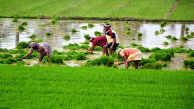 <strong>விவசாயிகள் முன்வைத்த கோரிக்கை</strong>