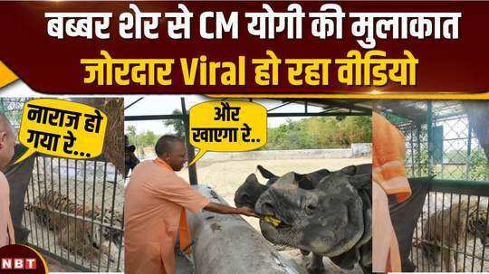 cm yogi reached zoo video of meeting with lion is going viral