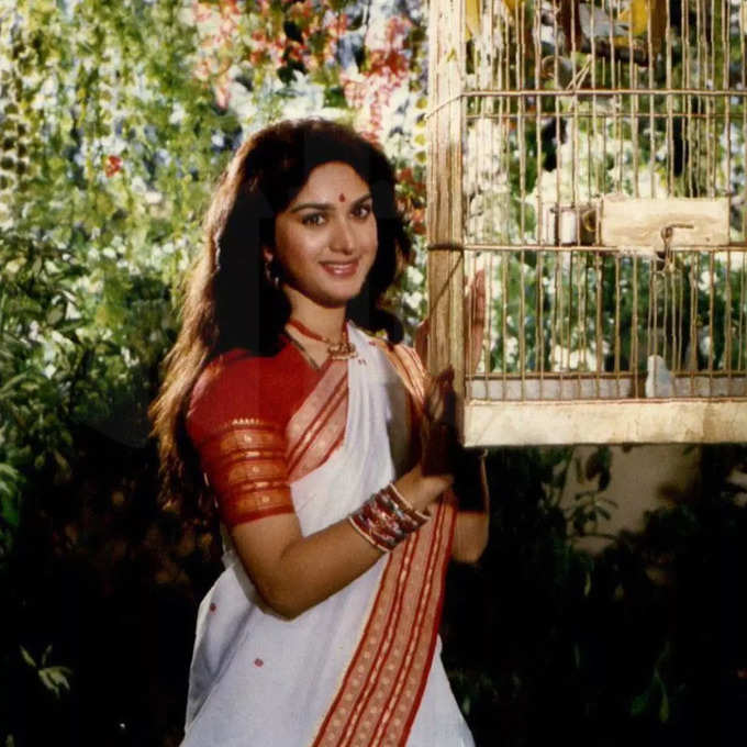 meenakshi sheshadri in damini