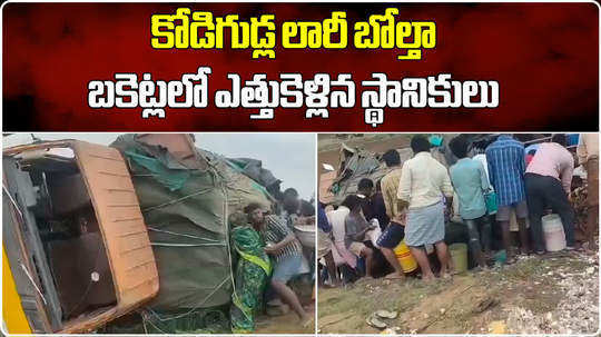 eggs lorry overturned at kaanalapalli in nandyal district local people rushed for eggs