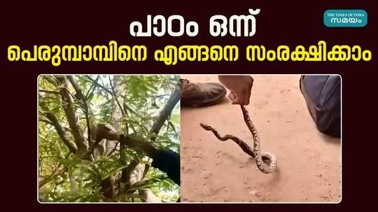 children and school authorities protect the python that arrived at reopen festival in kannur chembilode hss