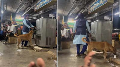 Heartwarming Video: कुत्ते को लगी प्यास तो तड़पता हुआ आया वाटर कूलर के पास, महिला ने ऐसे की बेजुबान की मदद